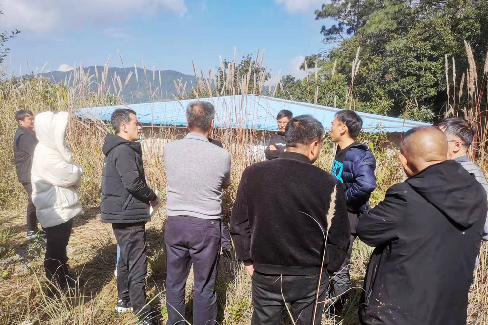 1640605787125274.jpg 1.jpg